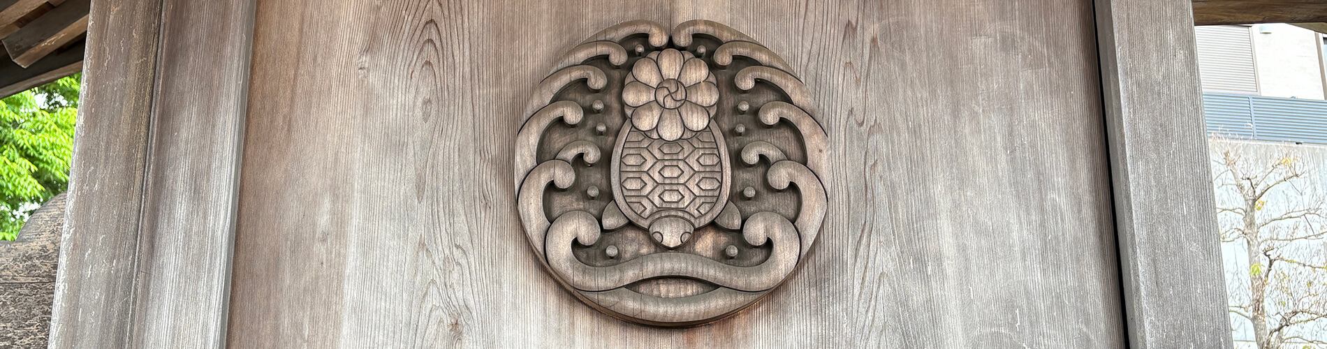 蓮法寺亀紋